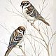 Watercolor birds sparrows on twigs. Pictures. vettochka. Online shopping on My Livemaster.  Фото №2