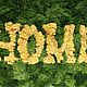 Картина из стабилизированного мха "HOME", Слова, Санкт-Петербург,  Фото №1