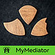 Mediators: Set of picks from wood Speed, Guitar picks, Zhukovsky,  Фото №1