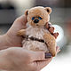 Заказать Мишка тедди Лили. Teddy by Olga Prokudina. Ярмарка Мастеров. . Мишки Тедди Фото №3