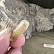 Данбурит Кристаллы 2.5+3.5гр. Природные камни. Цена за оба кристалла. Кристалл. Seven Minerals. Ярмарка Мастеров.  Фото №5