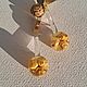 Серьги из эпоксидной смолы с сухоцветами. Серьги классические. Ingasmola. Ярмарка Мастеров.  Фото №7