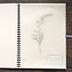Herbarium album on a Flower spring (15 white sheets). Photo albums. Albums and notebooks (Anna). My Livemaster. Фото №6