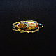 Брошь № 3 СКАРАБЕЙ. Brooch № 3 SCARAB. Брошь-булавка. Сергей Август (AugS). Ярмарка Мастеров.  Фото №5