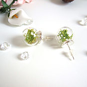 Украшения handmade. Livemaster - original item Stud Earrings Made of Glass with Real Moss Botany Eco Silver. Handmade.