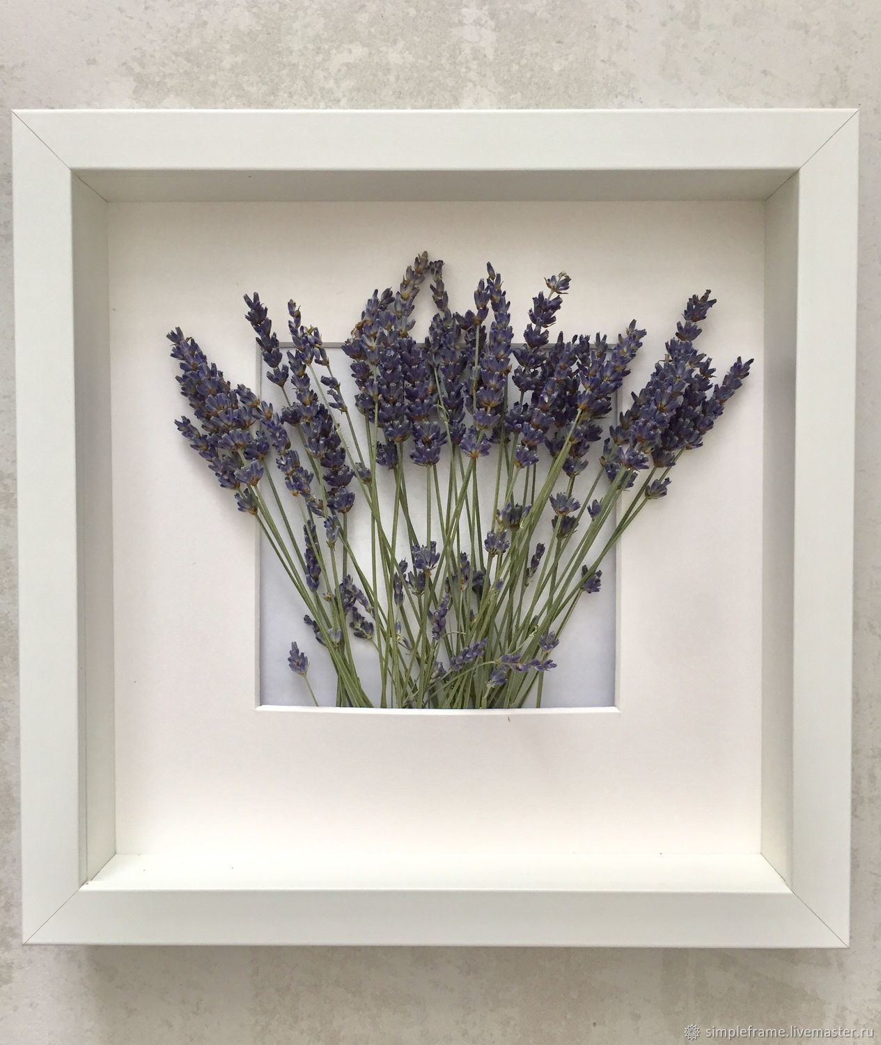 Картина из сухоцветов Лаванды simple frame в интернет-магазине на ...
