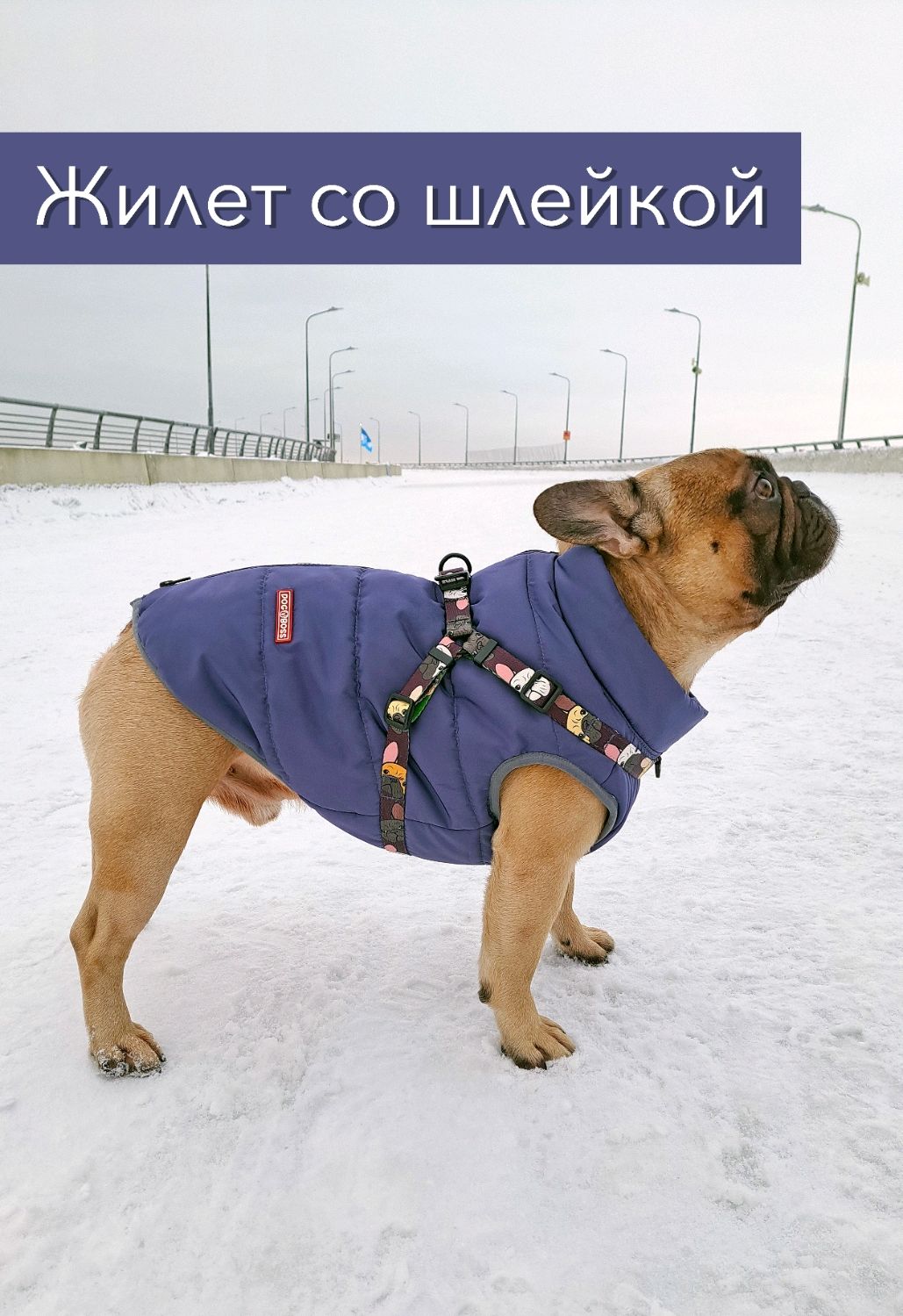 Одежда модная бренд весна/лето собаки одежда для иностранной торговли вязаный жилет-свитер.