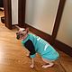 Clothing for cats ' Sweatshirt with fleece Turquoise'. Pet clothes. Happy-sphynx. Online shopping on My Livemaster.  Фото №2