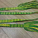Belt. Green-yellow belt, woven on planks. Russian belt, Belts and ribbons, Sestroretsk,  Фото №1