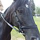 Bridle "Cossack" with rein аdorned with knots, Handmade, Bridles, Kirov,  Фото №1