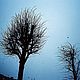 Февраль 2010 года. Мой город.

Плёнка Fujicolor Superia X-tra 400
Камера Olimpus mju-II