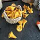Грибы лисички игрушечная еда кукольная миниатюра еда для кукол глина. Кукольная еда. KOTOMKA_NV кукольная миниатюра 1:12. Ярмарка Мастеров.  Фото №5