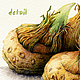 Репродукция моей картины "Луковицы крокуса" (акварель) - деталь работы.