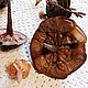 Шишка "подсвечник". Природные материалы. Sukhocveti. Южные сухоцветы.. Ярмарка Мастеров.  Фото №5