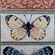 Вышитая картина "Бабочки". Картины. О.Vishnya (вышивка, бисер, вязание). Ярмарка Мастеров.  Фото №5