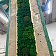 Фитокартина из мха. Фитокартины. Green.Box. Интернет-магазин Ярмарка Мастеров.  Фото №2