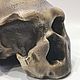 Модель черепа антропологическая, неандерталец из Монте-Чирчео. Элементы интерьера. Чё по черепам. Ярмарка Мастеров.  Фото №6