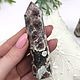 Repeater crystal obelisk coral tethys. Rod, Rod, Moscow,  Фото №1