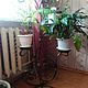 forged stand for flowers, Pots, Rybinsk,  Фото №1