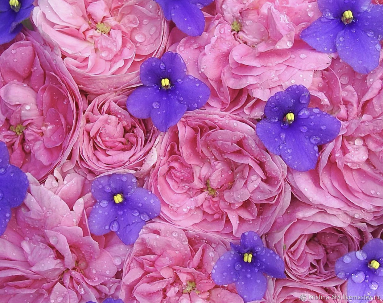 Цветок с множеством розовых цветочков