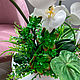  Интерьерная композиция с орхидеей. Композиции. VS_handmade. Ярмарка Мастеров.  Фото №6