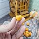 Заказать Яблочки из полимерной глины. Dolls-miniature. Ярмарка Мастеров. . Кукольная еда Фото №3
