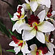 Flower-nightlight orchid 'Asterisk'. Nightlights. Elena Krasilnikova. My Livemaster. Фото №6