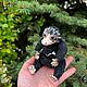 Утконос «Нифф». Тильда Зверята. Dashiktoys. Ярмарка Мастеров.  Фото №5