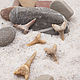 Order Fossilized shark tooth 20-30 mm 5 pcs. merlin-hat (Merlin-hat). Livemaster. . Folk decorations Фото №3