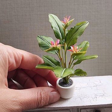 Куклы и игрушки ручной работы. Ярмарка Мастеров - ручная работа Миниатюрные цветы Стрелиция большая в горшочке. Handmade.