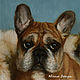 Oil painting bulldog ' Butch'. Pictures. yuliabogun. Online shopping on My Livemaster.  Фото №2