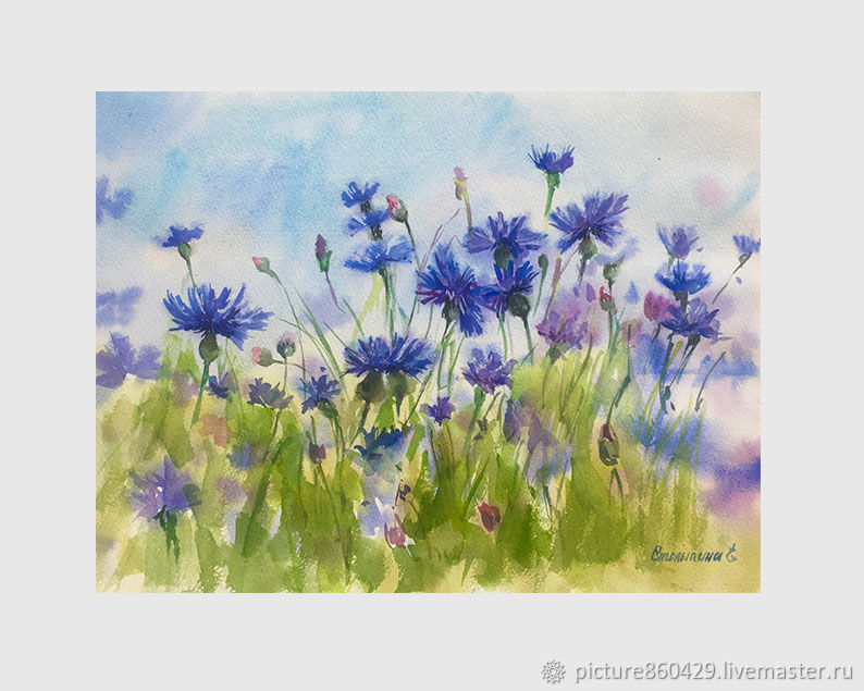 Картина акварелью Васильки купить в интернет-магазине Ярмарка Мастеров ...