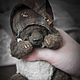 Васяя. Мягкие игрушки. Kristina & Soul Bear (Familial Values). Ярмарка Мастеров.  Фото №4