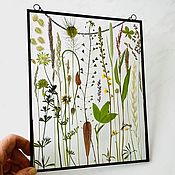 Интерьерный гербарий в стекле Круглое стеклянное панно Шиповник