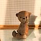 Заказать Выкройка и инструкция по шитью медвежонка Жан ростом 12.5 см. IrisBears. Ярмарка Мастеров. . Мишки Тедди Фото №3