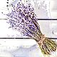 Lavender 40 gr, Materials for floristry, Moscow,  Фото №1