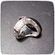 ring silver 'nautilus' with morion. Rings. Interslesar  Dmitry Kosoplechev. My Livemaster. Фото №5