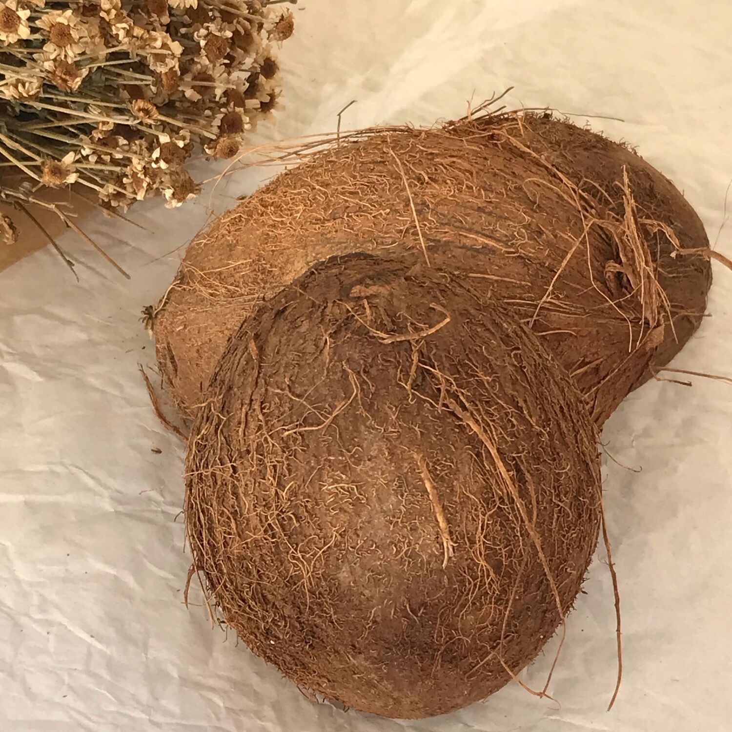 Кокосовые Скорлупки Купить Для Свечей