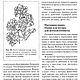 Распишем ткань сами, книга 2001 года. Мастер-классы. EcoLife_23. Ярмарка Мастеров.  Фото №5