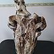 Пень дрифтвуд driftwood. Элементы интерьера. Юлия Driftwood и Stones. Ярмарка Мастеров.  Фото №4