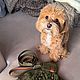 Платье "Olive" для собак. Одежда для питомцев. MyWoollyPet. Интернет-магазин Ярмарка Мастеров.  Фото №2