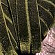 Бархатная резинка окантовка "оливка" (Италия), Ленты, Москва,  Фото №1