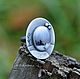 Ring 'Winter fairy tale' (silver 925, dendroagat). Rings. dikoobraz. My Livemaster. Фото №5