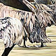 Order Oil painting Brown Pelican 85h85 cm. Ivlieva Irina Art. Livemaster. . Pictures Фото №3
