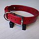 Personalized dog collar made of genuine leather. Dog - Collars. AshotCraft. My Livemaster. Фото №6
