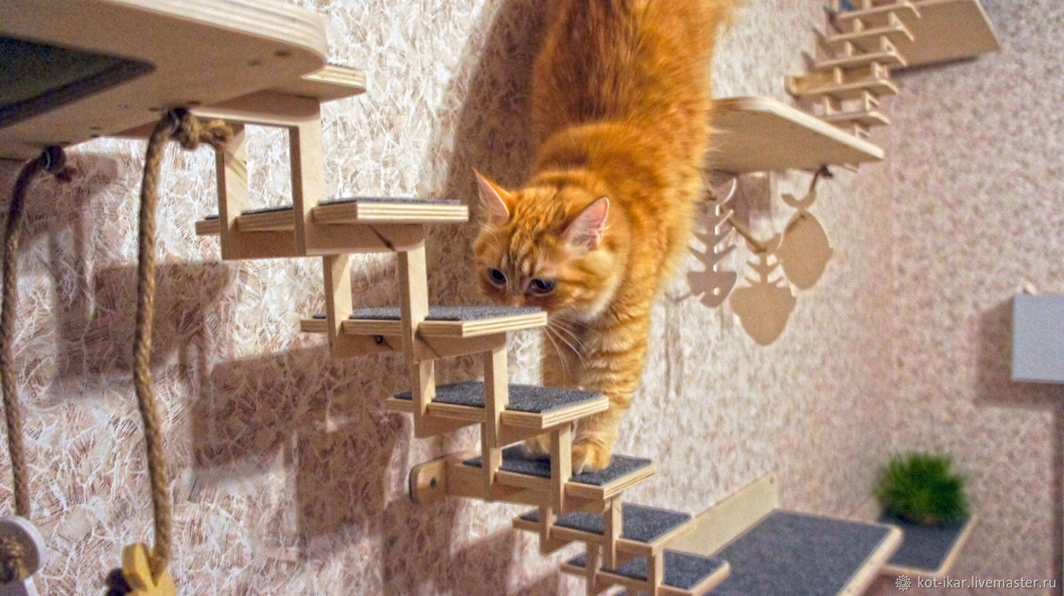 деревянные полки для кошек