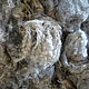 Order Fleece Mix Set. nzwool. Livemaster. . Felting materials Фото №3