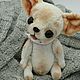 Dog toy Teddy. Chihuahua. Stuffed Toys. Anastasia Besedina (xxx555vvv444). My Livemaster. Фото №5