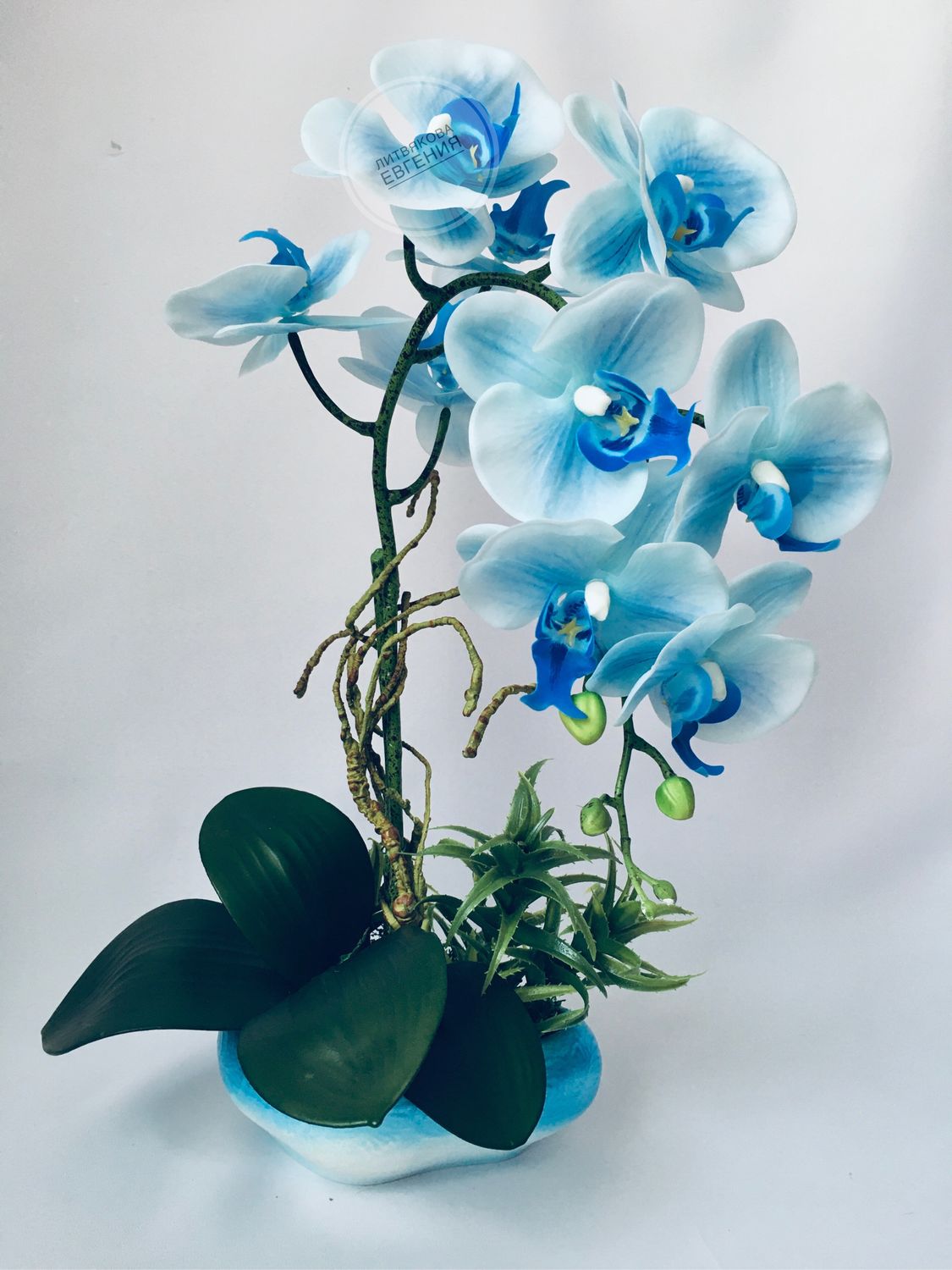 Гей порно видео Коллекция Голубая орхидея. Смотреть Коллекция Голубая орхидея онлайн