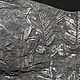 Заказать Отпечатки листьев древнего папоротника. Paleoflora. Ярмарка Мастеров. . Минералы Фото №3